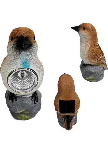 Dekoratif Güneş Işıkları Açık Güneş Kuşu Kazık Işıkları Dekoratif Bahçe Yol Işıkları Açık Su Geçirmez Kuş Işığı, C (Yurt Dışından) indirimleri