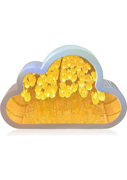 Bulut-Mirror Gece Işık El Yapımı Diy Lale Kız Oturma Odası Gece Işığı Küçük Ayna Masaüstü Işık Yayan Süsler-D (Yurt Dışından) fiyatları