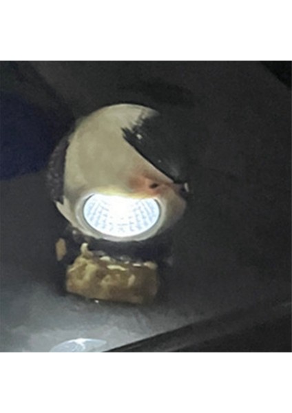 Dekoratif Güneş Işıkları Açık Güneş Kuş Sayı Işıkları Dekoratif Bahçe Yol Işıkları Açık Su Geçirmez Kuş Işığı, B (Yurt Dışından) fırsatları