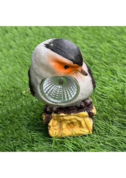 Dekoratif Güneş Işıkları Açık Güneş Kuş Sayı Işıkları Dekoratif Bahçe Yol Işıkları Açık Su Geçirmez Kuş Işığı, B (Yurt Dışından) indirimleri