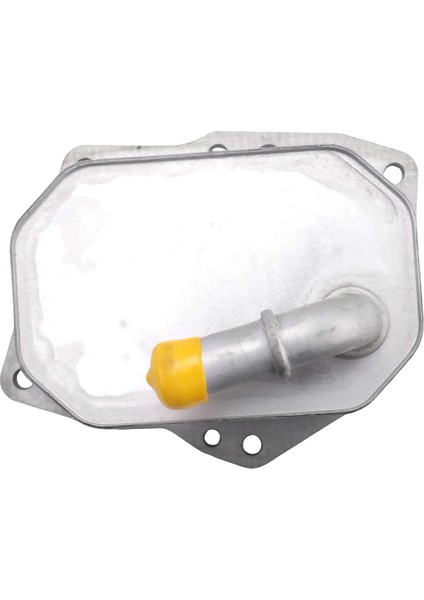 Motor Yağı Soğutucu Otomobil Alüminyum Radyatör 1746665 Ford Ranger T6 2.2l 3.2l Tdcı 2012-2021 (Yurt Dışından) indirimleri
