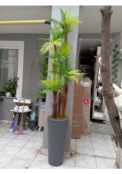 Dev Boy Areka Palmiye Ağacı 5 Gövde 45 Yaprak 240 cm Ev ve Ofis Için Yapay Ağaç Kumsal Vazoda indirimleri