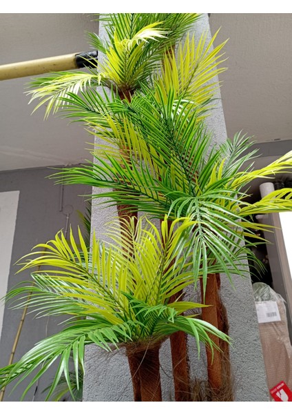 Dev Boy Areka Palmiye Ağacı 5 Gövde 45 Yaprak 240 cm Ev ve Ofis Için Yapay Ağaç Kumsal Vazoda