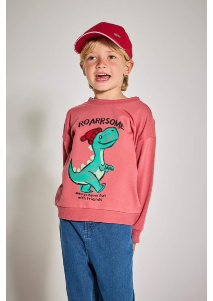 Erkek Bebek Bisiklet Yaka Dinozor Baskılı İçi Yumuşak Tüylü Sweatshirt F4531A525AU modelleri