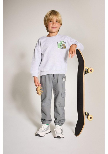 Erkek Bebek Bisiklet Yaka Dinozor Baskılı İçi Yumuşak Tüylü Sweatshirt F5020A525AU fiyatları
