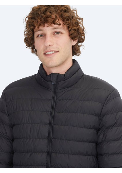 Siyah Regular Fit Dik Yaka Casual Dokuma Mont fırsatları