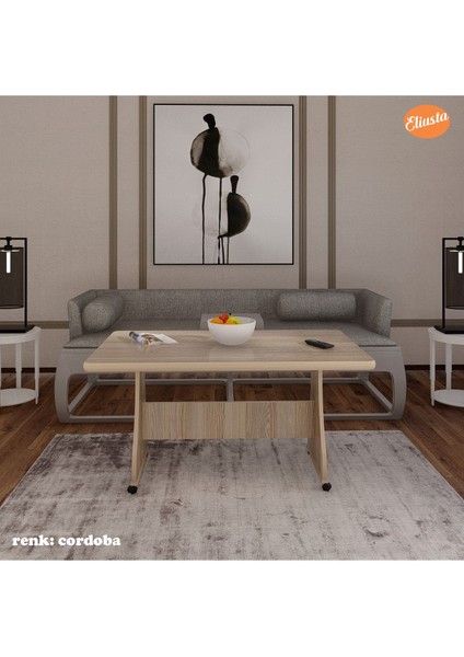 Mdf Orta Sehpa Tekerlekli Masa Mutfak Masası fırsatları