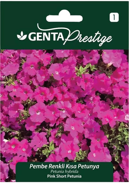 Prestige Kısa Pembe Petunya Tohumu – Yoğun Çiçekli Hibrit Petunia