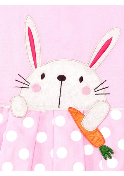 Havuç Delisi Kız Çocuk Pembe Elbise indirimleri