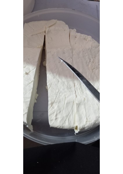 Inek Tam Yağlı bidon basma peynir 1kg fiyatları