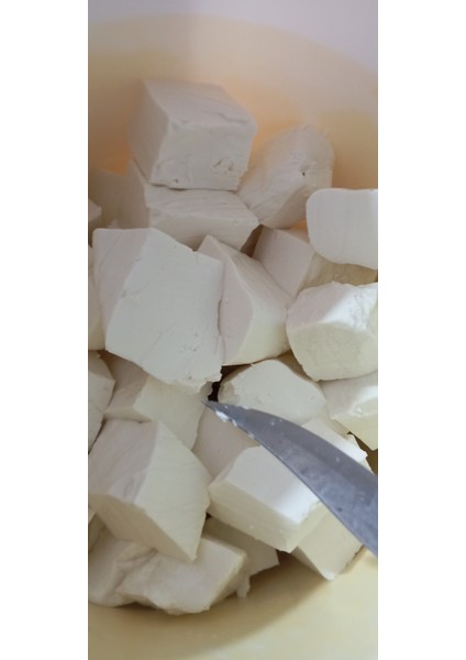 Inek Tam Yağlı bidon basma peynir 1kg modelleri