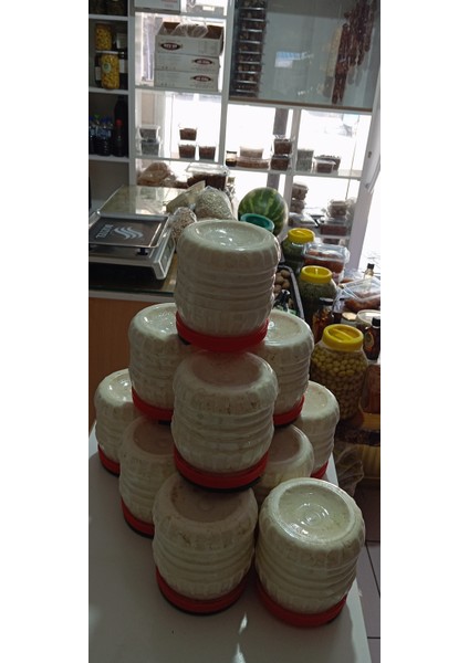 Inek Tam Yağlı bidon basma peynir 1kg indirimleri