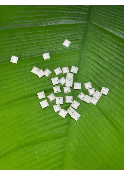 33 Adet 1 cm Delikli Beyaz Dikme Boncuk fiyatları