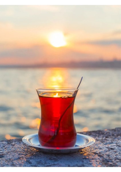 Cihan Çayı – Premium Seylan Siyah Çayı Aromatıc Earl Grey 200G fiyatları