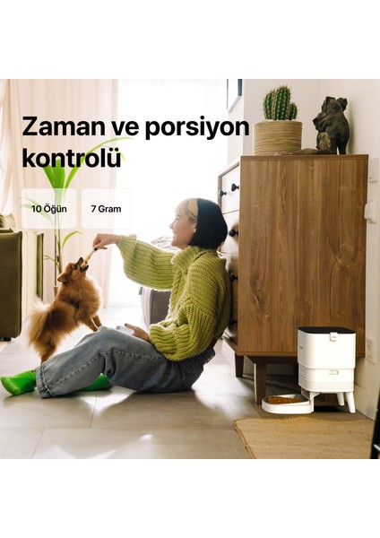 Akıllı Otomatik Kameralı Kedi Tuvaleti Paslanmaz Çelik Kaseli Mama Kabı Akıllı Bataryalı Su Pınarı ve Filtre 4'lü Pet Seti