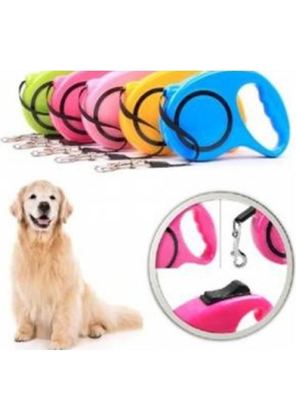Otomatik Uzayan Köpek Tasması 3 Metre fırsatları