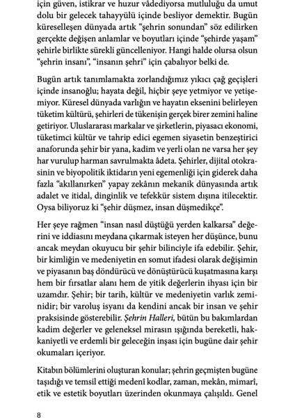 Şehrin Halleri - Celaleddin Çelik