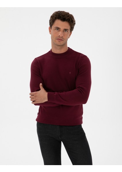 Erkek Mor Slim Fit Çeyrek Yaka Basic Triko Kazak 50315456-VR177 modelleri