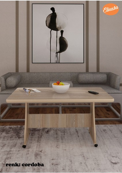 Tekerlekli Mdf Masa %100 Mdf Bahçe Masası Ofis Sehpası Orta Sehpa Salon Masası Yemek Masası