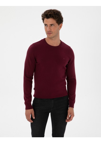 Erkek Mor Slim Fit Bisiklet Yaka Basic Triko Kazak 50315509-VR177