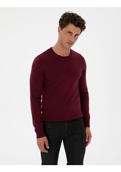 Erkek Mor Slim Fit Bisiklet Yaka Basic Triko Kazak 50315509-VR177 modelleri