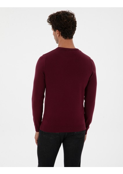 Erkek Mor Slim Fit Bisiklet Yaka Basic Triko Kazak 50315509-VR177 indirimleri