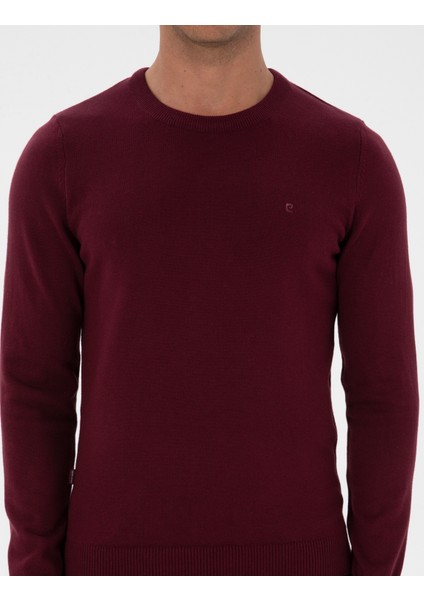 Erkek Mor Slim Fit Bisiklet Yaka Basic Triko Kazak 50315509-VR177