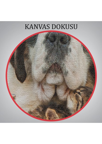 St. Bernard Köpek ve Yavru Kediler Dekoratif Kanvas Tablo 1124
