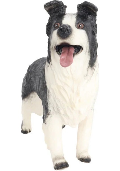 Model Köpek Siyah Beyaz Lessie