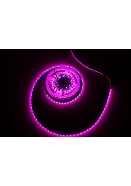 Pembe Şerit LED modelleri
