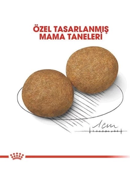 Royal Canin Medium Adult Yetişkin Köpek Maması 15 kg fırsatları