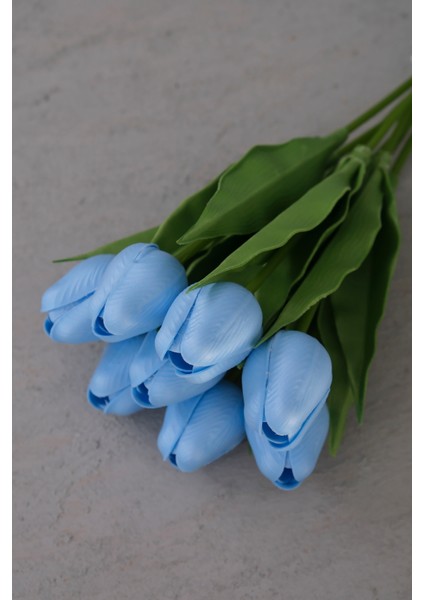 Bebe Mavi 8’li Lale Demet fiyatları