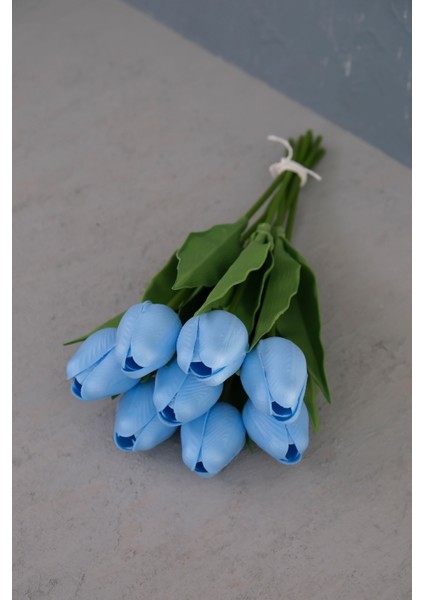 Bebe Mavi 8’li Lale Demet modelleri