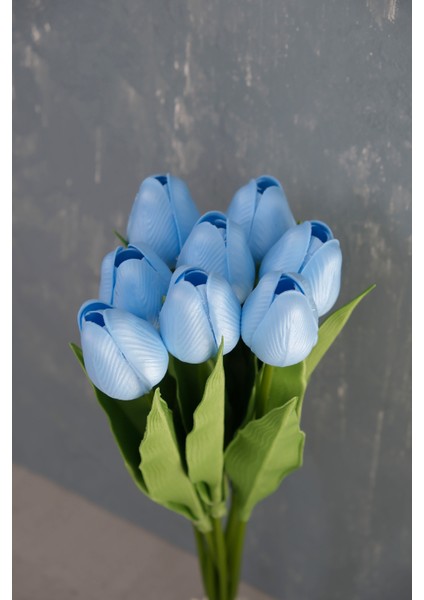 Bebe Mavi 8’li Lale Demet fırsatları