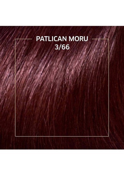 Koleston Kit Saç Boyası 3/66 Patlıcan Moru