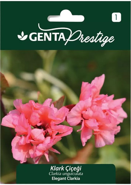 Prestige Klark Çiçeği Tohumu – Elegant Clarkia, Renkli Bahçe ve Yabani Çiçek