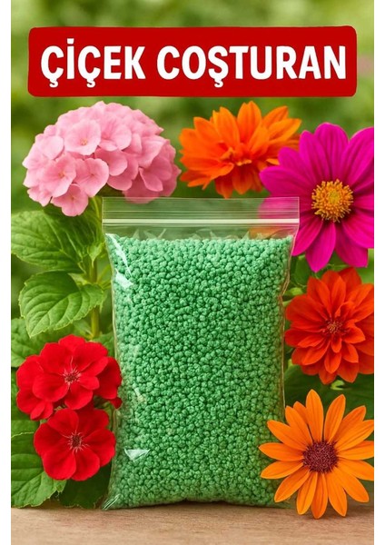 Dua Çiçeği, Gardenya, Örgülü Paşa Kılıcı Salon Bitkisi Seti + Çiçek Coşturan ve Solucan Gübresi indirimleri