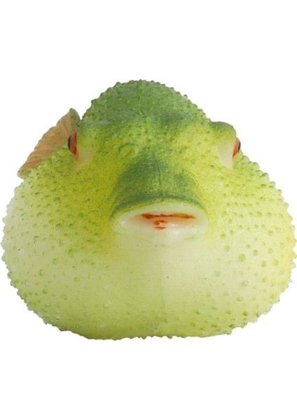 Strech Balon Balığı indirimleri