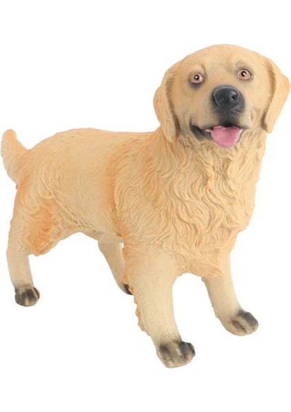 Model Köpek Ten Rengi Golden Retriever