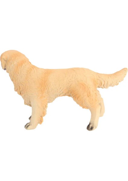 Model Köpek Ten Rengi Golden Retriever fiyatları