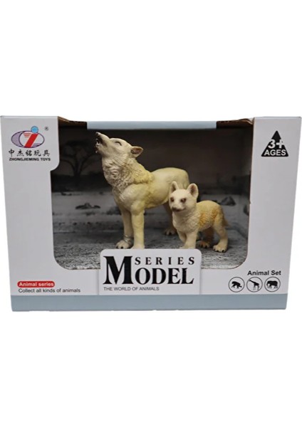 Kutulu Model Uluyan Kurt ve Yavrusu