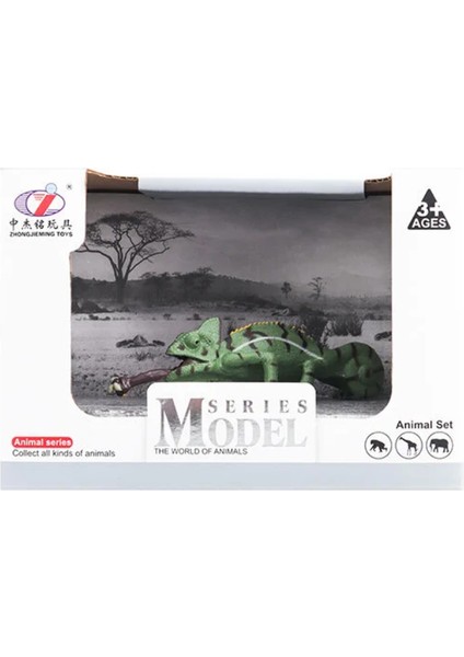 Kutulu Model Bukalemun