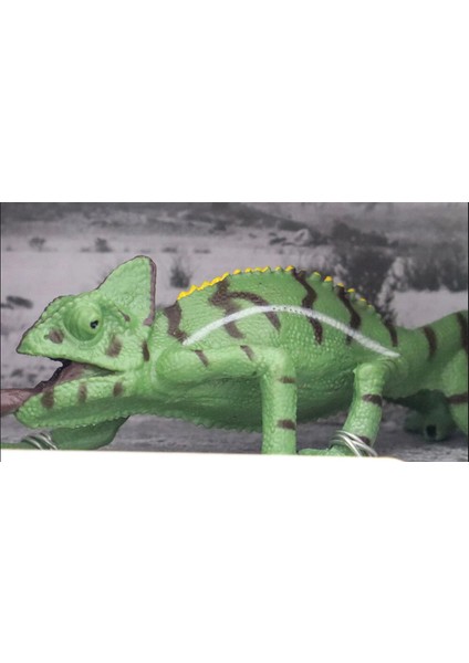 Kutulu Model Bukalemun fiyatları