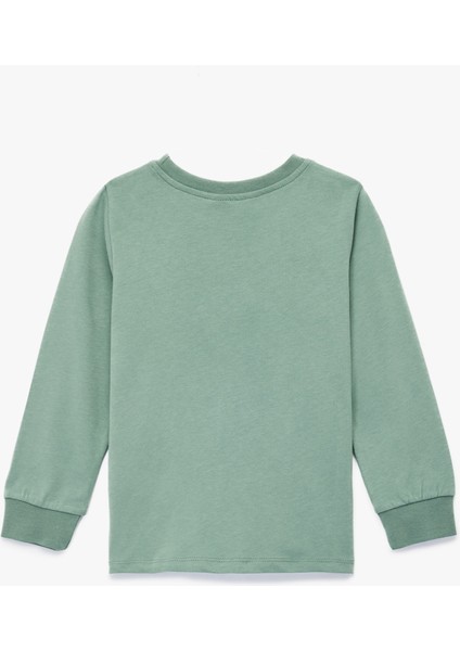 Uzun Kollu Bisiklet Yaka Dinozor Aplikeli Pamuklu Tişört fiyatları