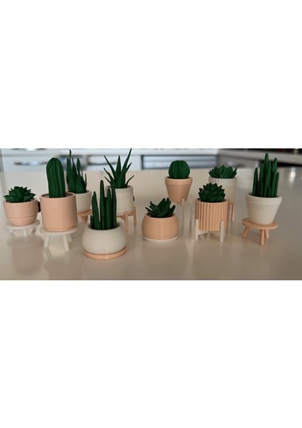 Dekoratif Mini Saksı Magnet Seti 10’lu