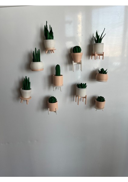 Dekoratif Mini Saksı Magnet Seti 10’lu fırsatları