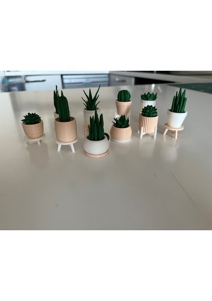 Dekoratif Mini Saksı Magnet Seti 10’lu indirimleri