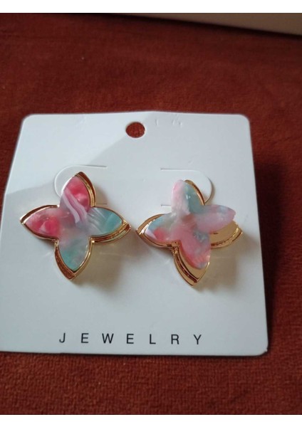 Renkli Çelik Küpe fiyatları