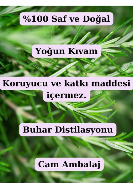 Biberiye Yağı ve Limon Kabuğu Uçucu Yağı (10ML + 10 Ml)- %100 Saf Seyreltilmemiş fiyatları