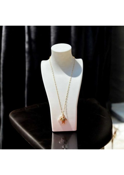 Çelik Kaplumbağa+Deniz Kabuğu Kolye modelleri